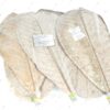 Frunze de magnolie uscate Hoba
